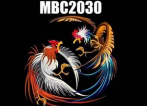 mbc2030 live